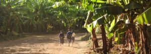Walking tours from Migombani Camp and Mto wa Mbu