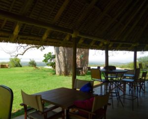 Restaurant and bar at Migombani Camp