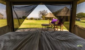 View from the safari tent Migombani Camp