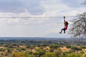 Zipline adventure fly between baobab trees