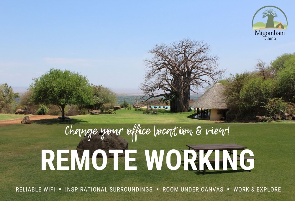 Migombani Camp remote working package