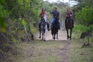 Horse riding at the Ngorongoro Crater rim from Gibb's Farm